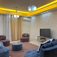 اجاره ی سویت و آپارتمان مبله در همه ی مناطق تهران|اجارهٔ کوتاه‌مدت آپارتمان و سوئیت|تهران, دکتر هوشیار|دیوار