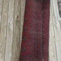 گلیم پادری|گلیم، جاجیم، گبه|شیروان (خراسان), |دیوار