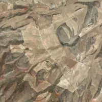 محل چرای دام دیم
