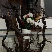 درخت تزئینی