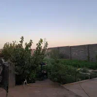 باربند|فروش دفتر صنعتی، کشاورزی، تجاری|تربت جام, حافظ|دیوار