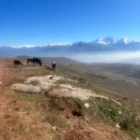 زمین سنددار ۴۲۵متر کلاردشت منطقه آزاد معاوضه خودرو|فروش زمین و ملک کلنگی|کلاردشت, |دیوار