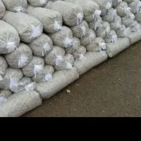 فروش تفاله پرس چغندر