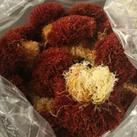 زعفران دخترپیچ|خوردنی و آشامیدنی|سرایان, |دیوار