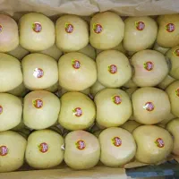 سیب دو ردیف|خوردنی و آشامیدنی|سیلوانه, |دیوار