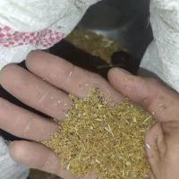 بذر یونجه فروشی