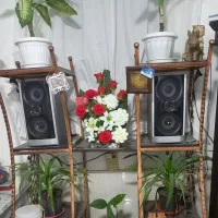 پایه گل و پایه باند فلزی فرفوژه فقط ۵۰۰|گل و گیاه طبیعی|نیشابور, کلاغان|دیوار