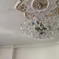 لوستر عالیجناب