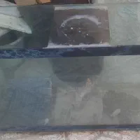 آکواریوم