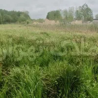 212متر پیل علی باغ انشعابات پای زمین