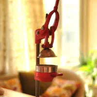 آبمیوه گیر / آب انار گیر صنعتی