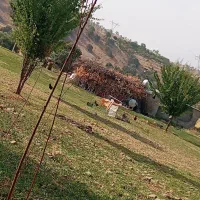 سوله اجاره
