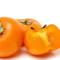 پیشفروش نهال خرمالو فویو|خدمات باغبانی و درختکاری|پیرانشهر, |دیوار