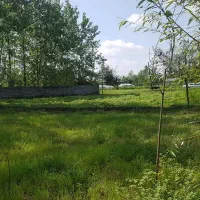 زمین-باغی-روستای-چهار-روستایی