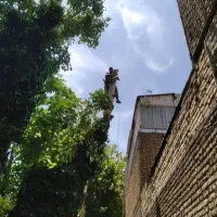 نیسان کمپرسی خریدار. چوب|خدمات باغبانی و درختکاری|نوشین شهر, |دیوار