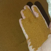 خاکشیر بوجاری شده تمیز بدون خاک و سبزک تمیز|خوردنی و آشامیدنی|تهران, سردارجنگل|دیوار