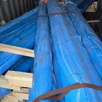 انجام صفر تا صد ترخیص کالا در گمرک بوشهر|خدمات حمل و نقل|شیراز, گلدشت معالیآباد|دیوار