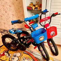 دوچرخه ۱۶ دو عدد