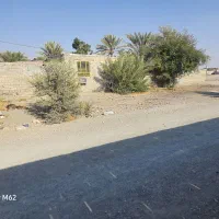 زمین|فروش زمین و ملک کلنگی|کهنوج, |دیوار