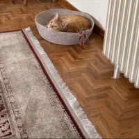 دوخت اتاق گربه