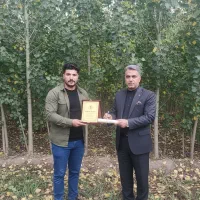 کاشت نـهـال صنـوبـر درآمدی مطمئن|خدمات باغبانی و درختکاری|مریوان, |دیوار