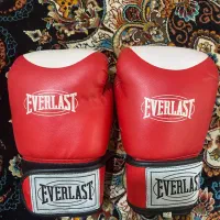 بوکس برند EVERLAST با پایین ترین قیمت