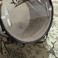 تبل ارتشی