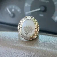 انگشتر شجر کلکسیونی