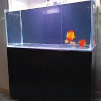 آکواریوم Red Sea REEFER XL 425