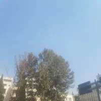 ماورا  روانشناسی