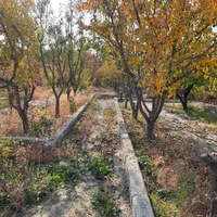 زمین مسکونی باغ ویلا داخل بافت به آباد ۳راه گلمکان|فروش زمین و ملک کلنگی|مشهد, میان ولایت|دیوار