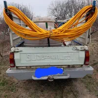 خدمات سمپاشی باغ و باغچه