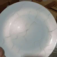 انواع ظروف چینی پردیس