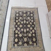 فرش ۶متری|فرش|پاکدشت, پاکدشت (مامازند)|دیوار