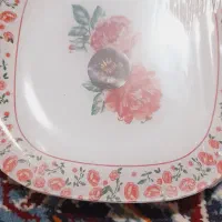 سرویس پارس اوپال|ظروف سرو و پذیرایی|شاهرود, |دیوار