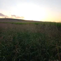 فروش-زمین-مسکونی