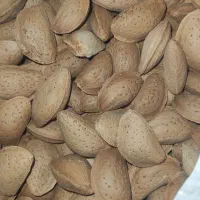 خرید بادام با بهترین قیمت