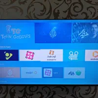 تلویزیون ۵۵ اینچ Ecoluxe