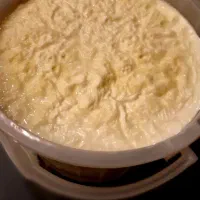 ماست خالص گوسفندی پرچرب و خوشمزه