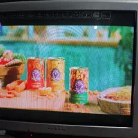 تلویزیون ۲۹ اینچ