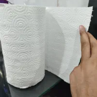 دستمال کاغذی لوله ای فله ای|مواد شوینده و دستمال کاغذی|کبودرآهنگ, |دیوار