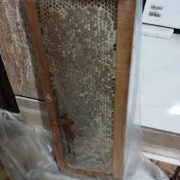 عسل طبیعی کوهستان  به شرط میدم ناب ناب