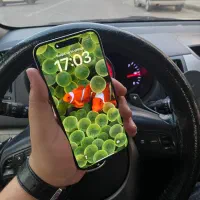 iphone 15 Pro Max 256GB|موبایل|گنبد کاووس, |دیوار