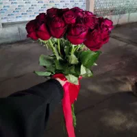 گل رز ۳۰ شاخه|گل و گیاه طبیعی|مشهد, رضاییه|دیوار