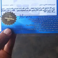 تندر مدل 95 اتوماتیک|خودرو سواری و وانت|تهران, سلامت|دیوار