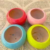 چهار عدد گلدان|گل مصنوعی|سنندج, |دیوار