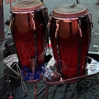 کونگا ماینل فلاتون تومبا