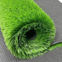 چمن مصنوعی|خدمات باغبانی و درختکاری|اهواز, آسیاباد|دیوار