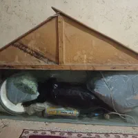 آکواریوم بزرگ