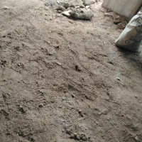 زمین مسکونی155متر گرجی